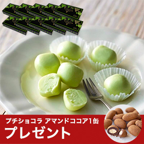 レアチョコレート ナイアガラ 10箱セット | 【ルタオ公式】ケーキ