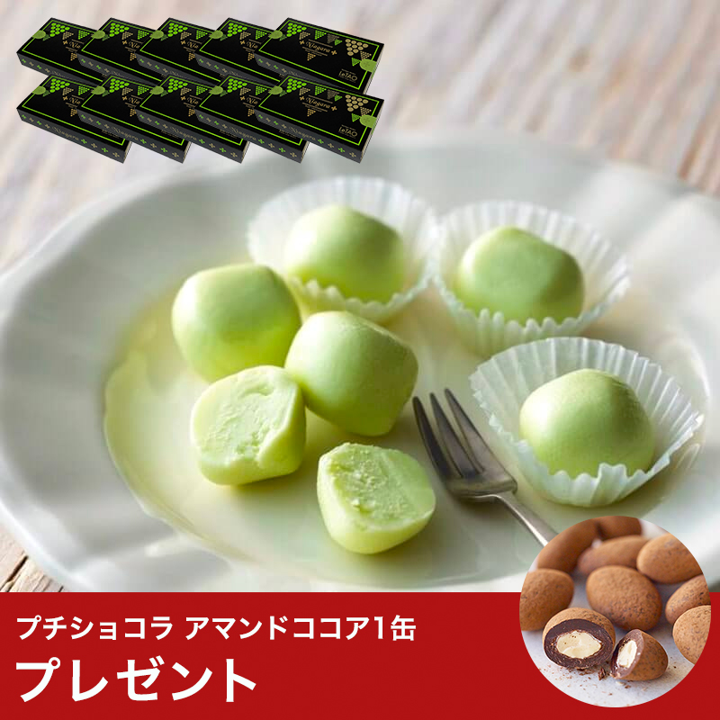 レアチョコレート ナイアガラ 10箱セット