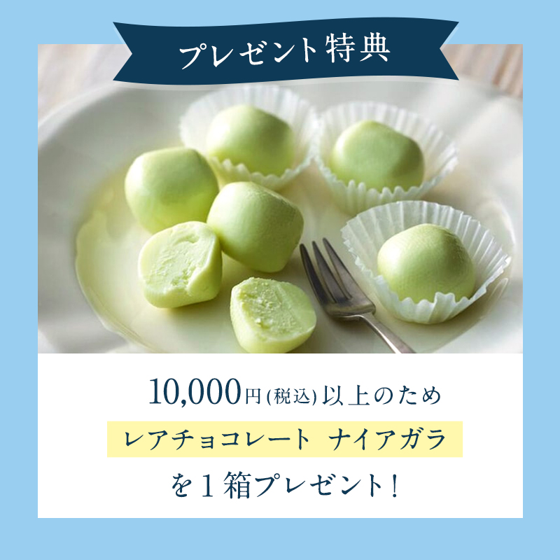 秋の味覚ディナーセット