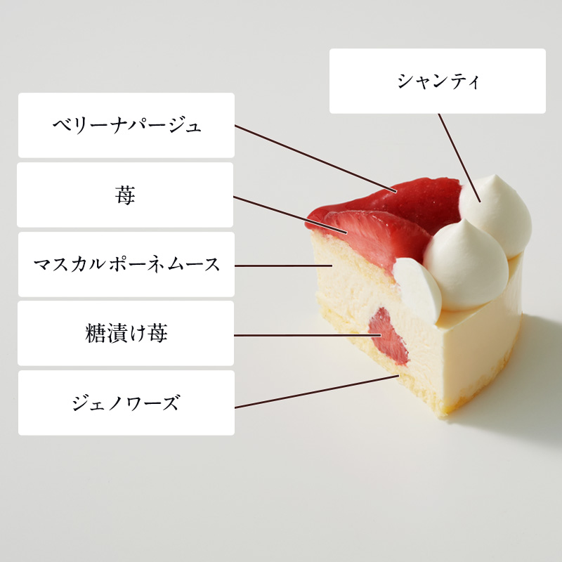 クリスマスパーティーセットA～選べるケーキ～
