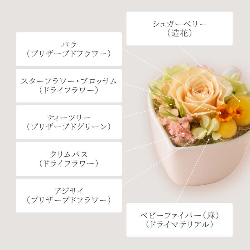 ショコラドゥーブルと選べるフラワーギフト