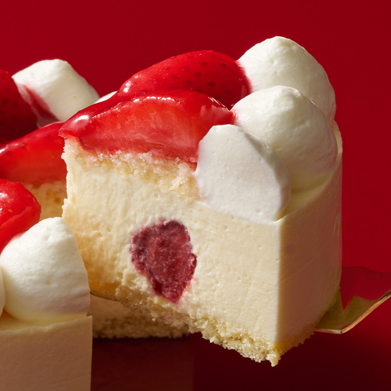 クリスマスパーティーセットE