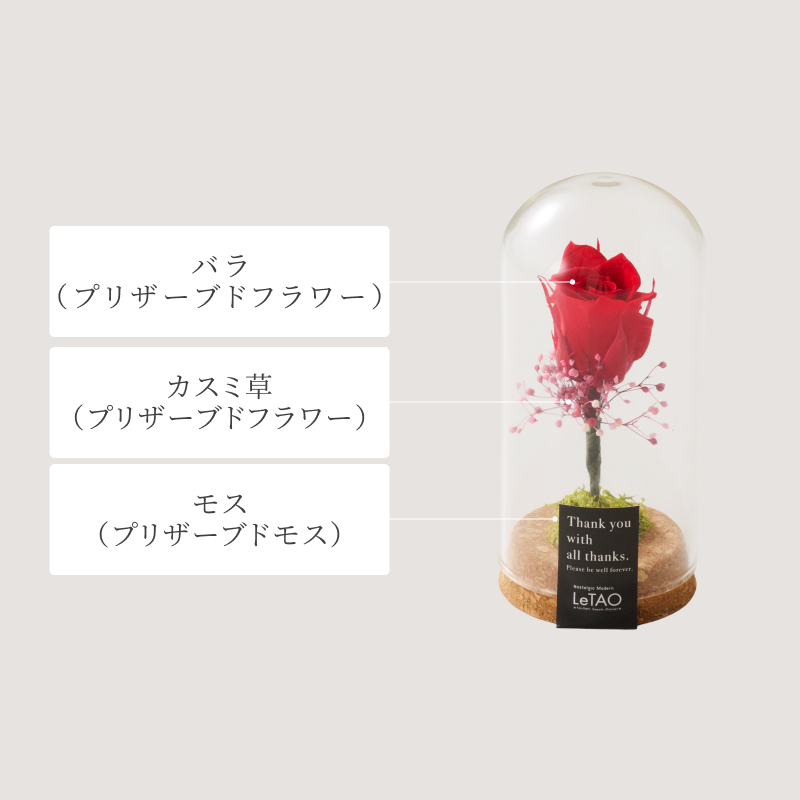 苺ミルクロールと選べるフラワーギフト