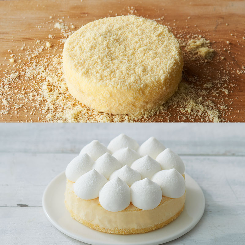 【送料込み】2種のチーズケーキ食べ比べセット