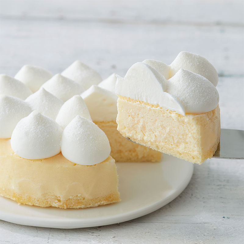 【送料込み】2種のチーズケーキ食べ比べセット