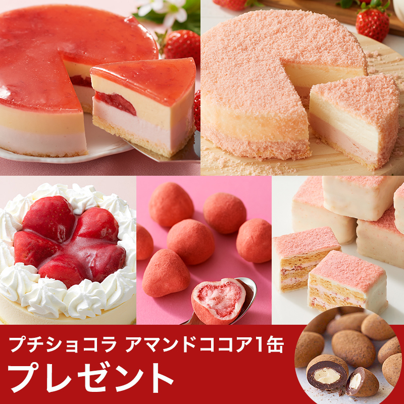 ホワイトデーストロベリーセレクションB