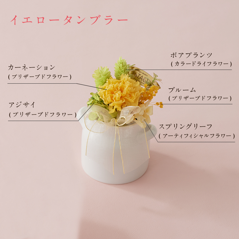 選べるフラワーギフト付き母の日パーティーセットB