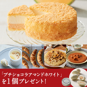 メロンドゥーブル～ディナーセット～