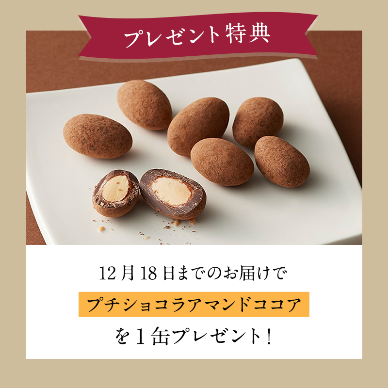ブラックフライデーXmasセットC～選べるケーキ～
