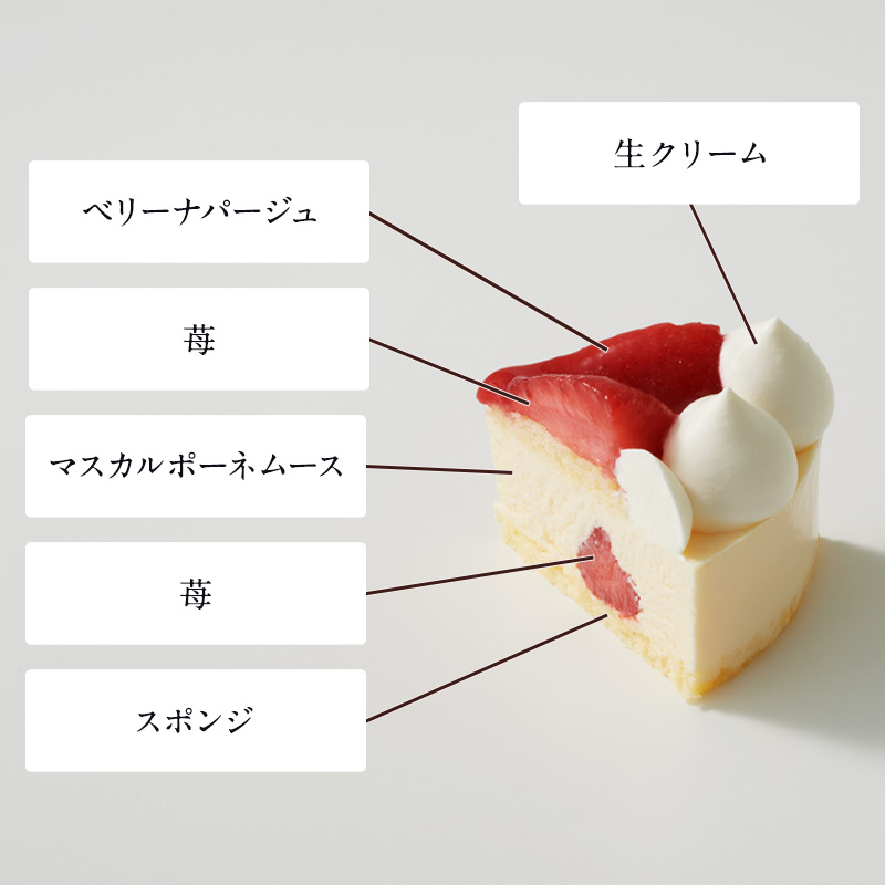 クリスマスパーティーセットE ～選べるケーキ～