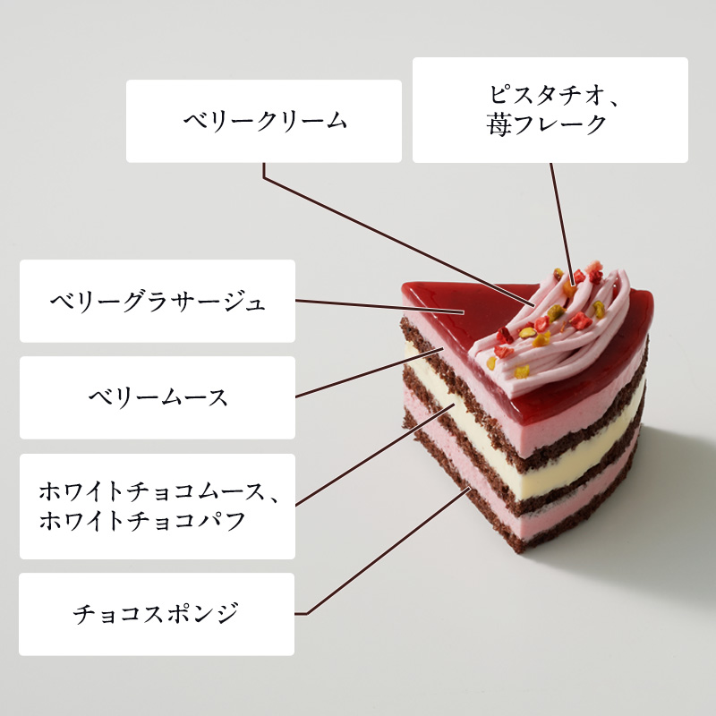 クリスマスパーティーセットE ～選べるケーキ～