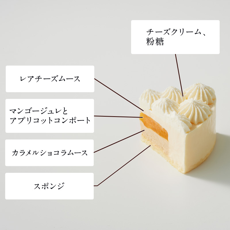 クリスマスパーティーセットE ～選べるケーキ～