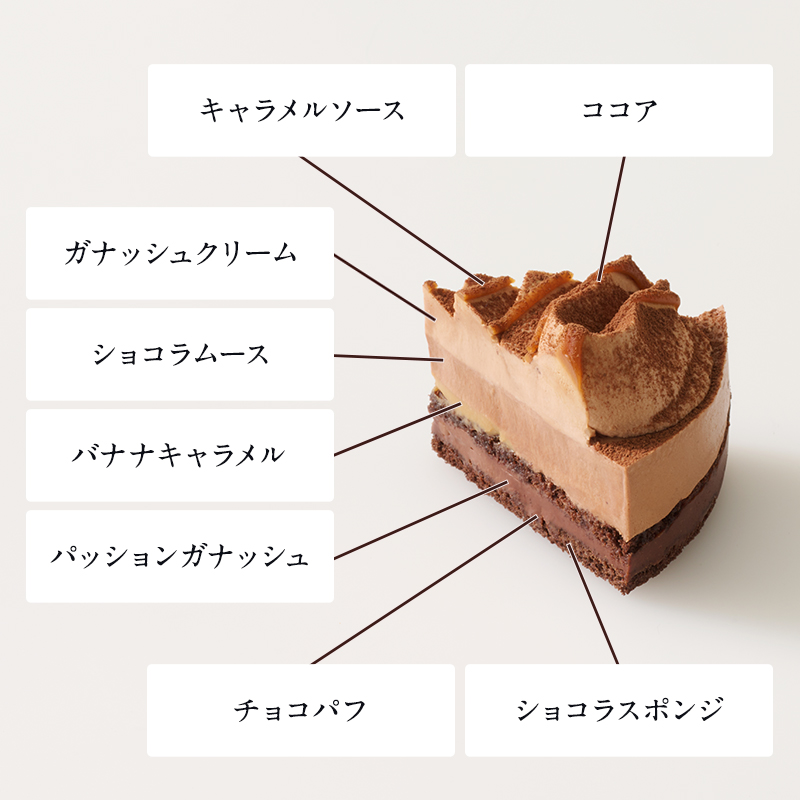 ショコラのケーキペア