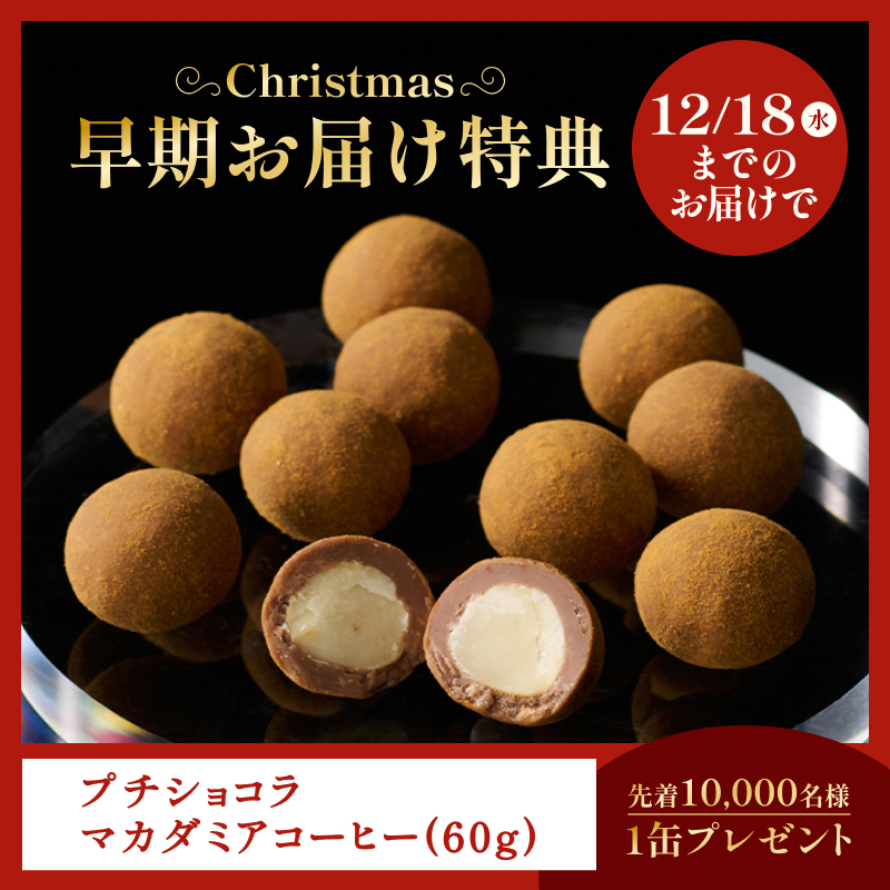 ブラックフライデー2024Xmasセット～選べるケーキ～
