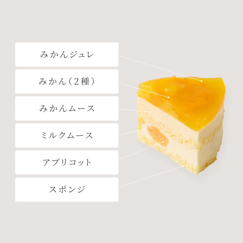 フラワーブーケと選べる母の日ケーキ