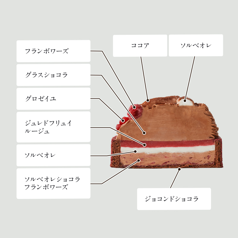 【送料込み】ショコラフランボワーズ