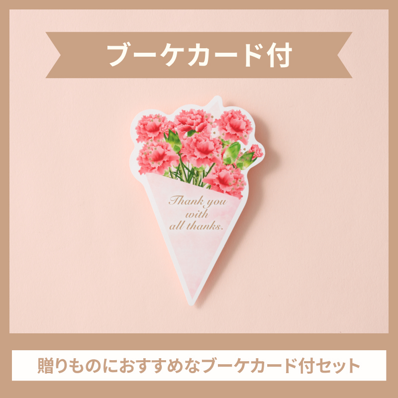 【送料込み】サブレグラッセ 10個入とブーケカード