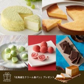 アプリ限定セットD