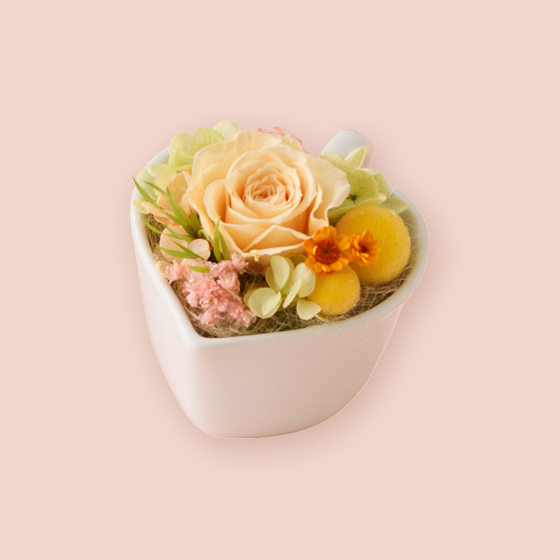 ドゥーブルフロマージュと選べるフラワーギフト