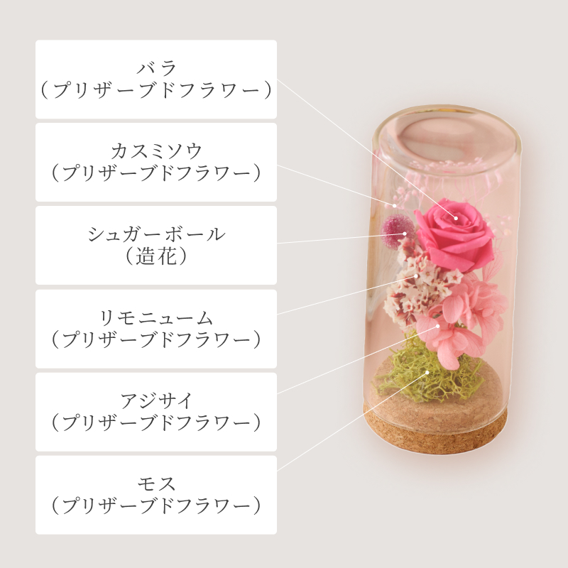 フロマネージュフレーズと選べるフラワーギフト