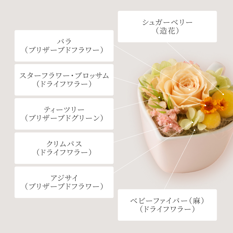 プディング オ フリュイと選べるフラワーギフト