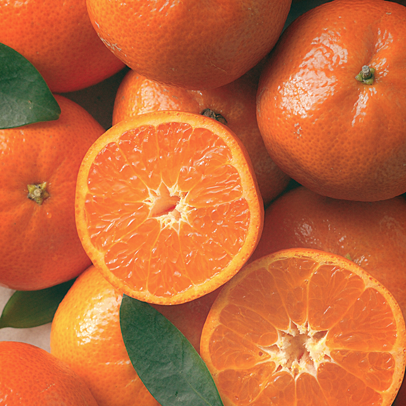 みかんドゥーブル〜温州みかん〜