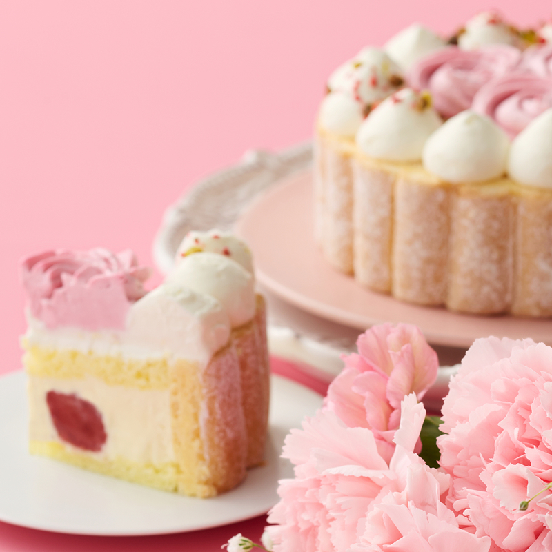 スプリングケーキデュオ