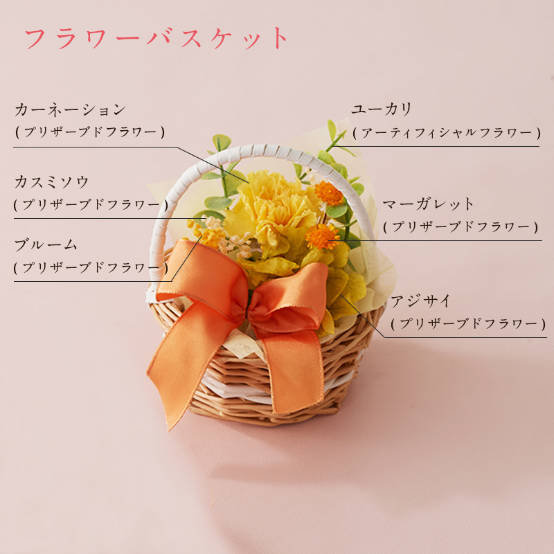 母の日フラワーギフトプランタンプディング＋フラワーバスケット