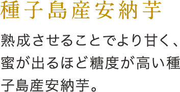 種子島産安納芋