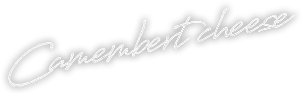 Camembert cheese