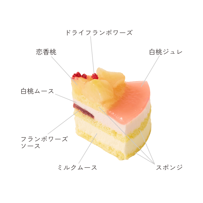 断面図
