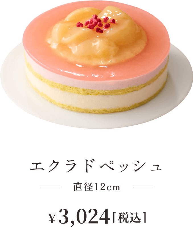 エクラドペッシュ 直径12cm ¥3,024税込