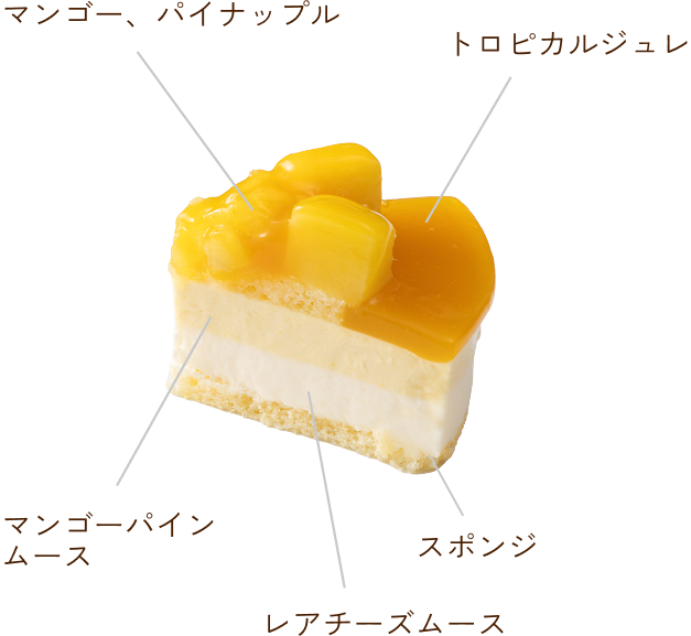 断面図