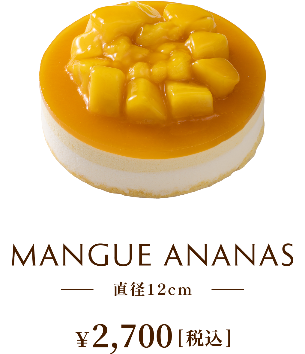 マングーアナナス 直径12cm ¥2,808