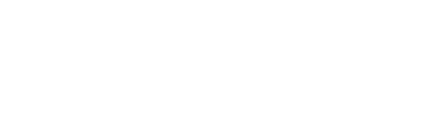 ニューヨークチーズケーキ　~パンプキン~