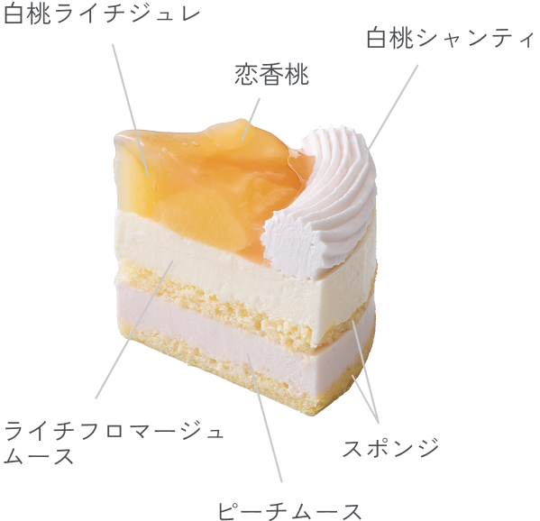 断面図