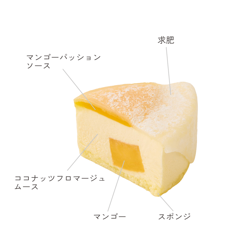 断面図