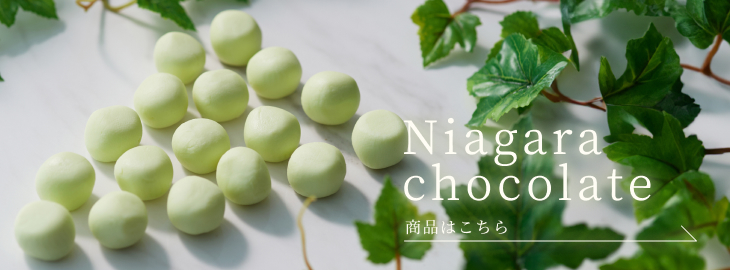 ナイアガラ