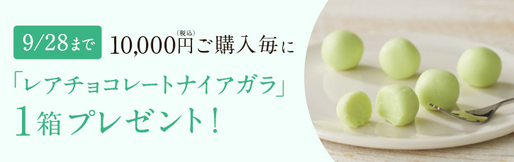 9/28まで10,000円(税込)ご購入毎に「レアチョコレートナイアガラ」1箱プレゼント！