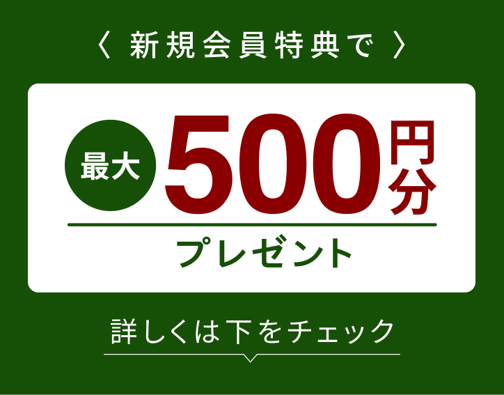 最大500円分プレゼント 詳しくはこちら