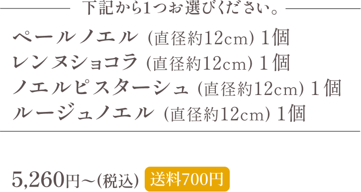ドゥーブルと選べるクリスマスケーキ内容