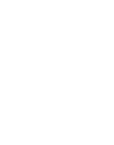 見てたのしい　食べておいしい　冬の自信作。