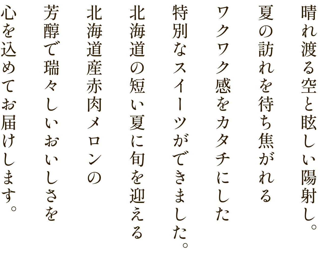 晴れ渡る空と眩しい陽射し。