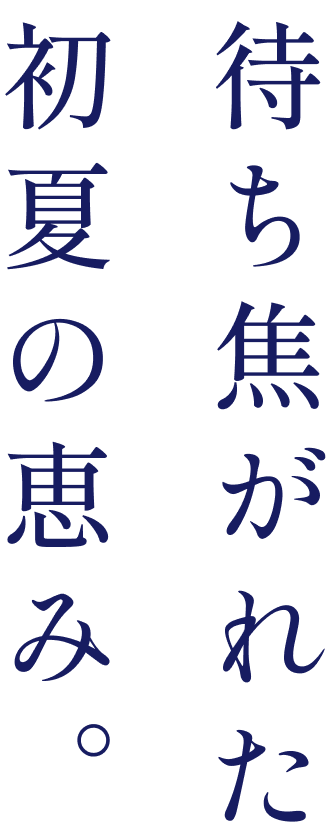 待ち焦がれた初夏の恵み。