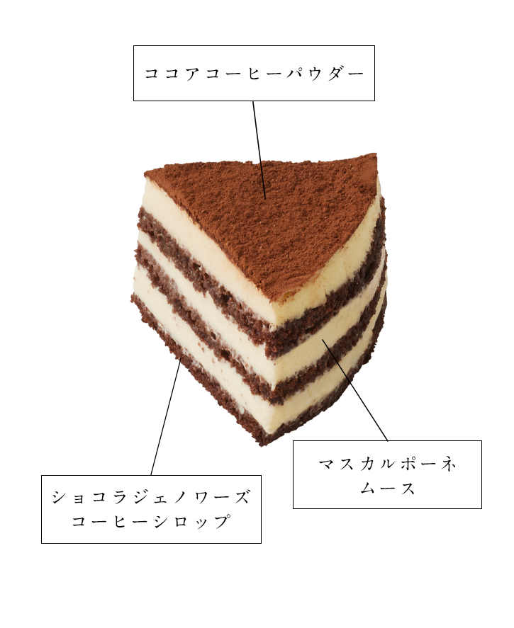 ココアコーヒーパウダー　マスカルポーネムース　ショコラジェノワーズコーヒーシロップ