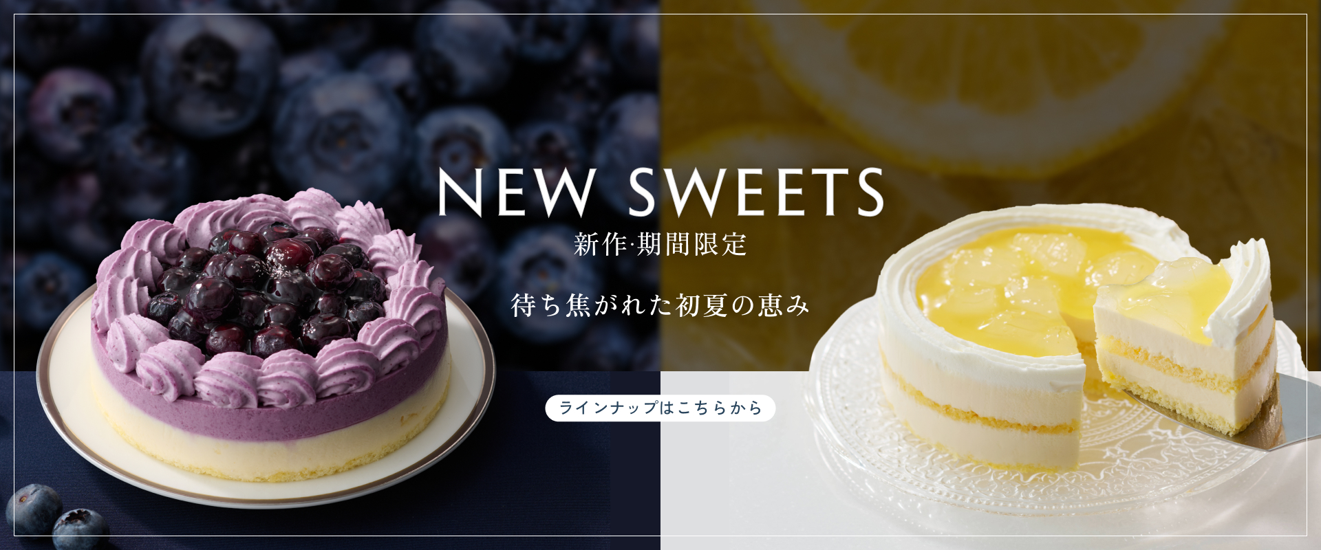 新作・期間限定