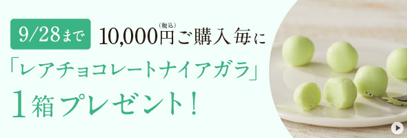 レアチョコレートナイアガラプレゼント