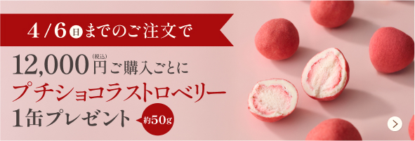 プチショコラストロベリー