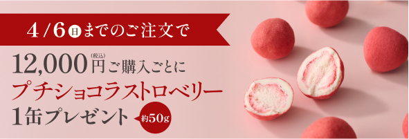 プチショコラストロベリープレゼント特典