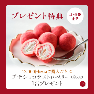 プチショコラストロベリープレゼント